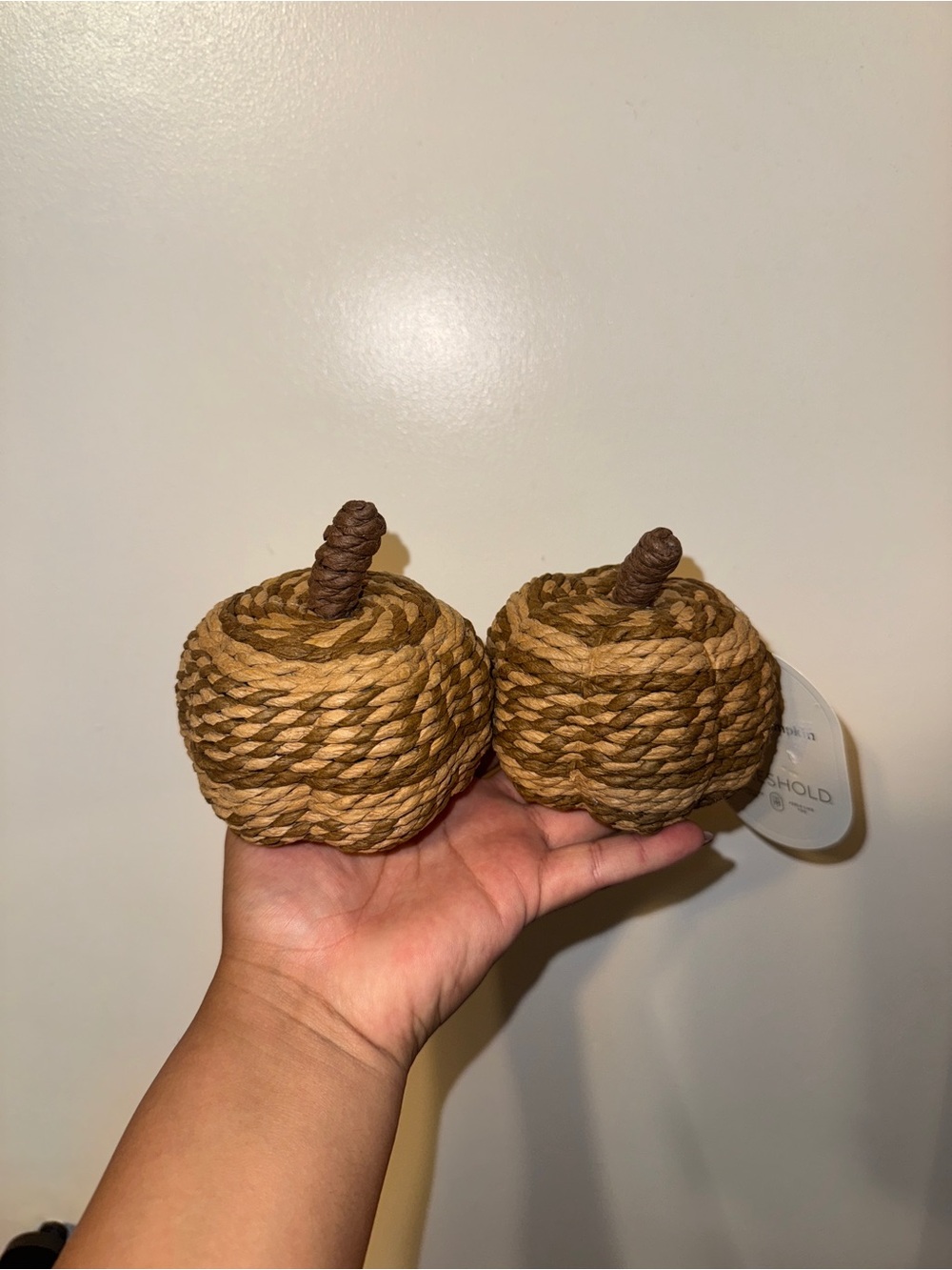 Threshold Set of 2 Woven Rope Pumpkins Fall Decor